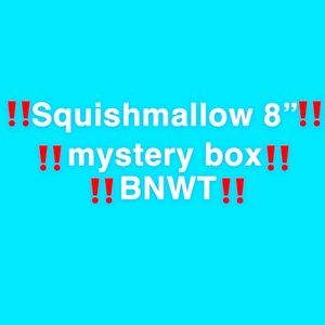Squishmallow 8” mystery box